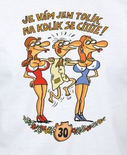 Tričko - 30 Je vám jen tolik, na kolik se cítíte - pro muže - L (18-D) Divja.cz