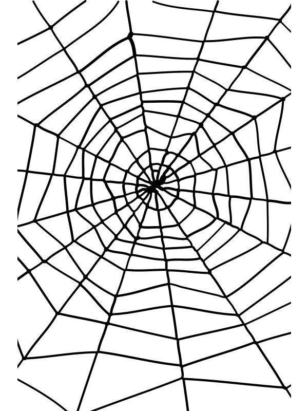 Pavoučí síť (11-H) Smiffys.com