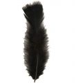 Peříčka - černá 10cm, 50ks (16)