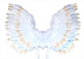 Křídla andělská s peřím (122)