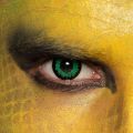 Oční čočky - Hadí zelenočerné  (74D)