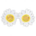 Brýle Hipís - květina  (48)