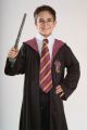 Kravata Harry Potter (78)