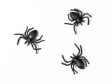 Pavouci černí 3x3cm - 10ks  (92)