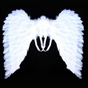 Křídla andělská z peří bílé   (94)