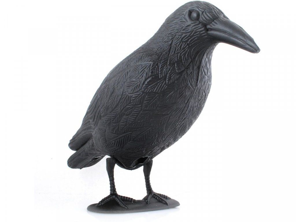 Pták černý odpuzovač (11)